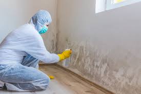 Best Water Damage & Mold Remediation in Farmingdale, NY