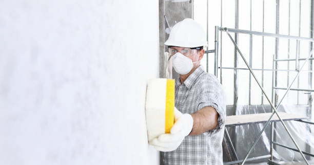 Best Mold Remediation for Healthcare Facilities in Farmingdale, NY